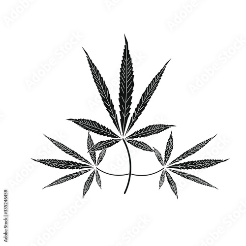 cannabis leaves on white background