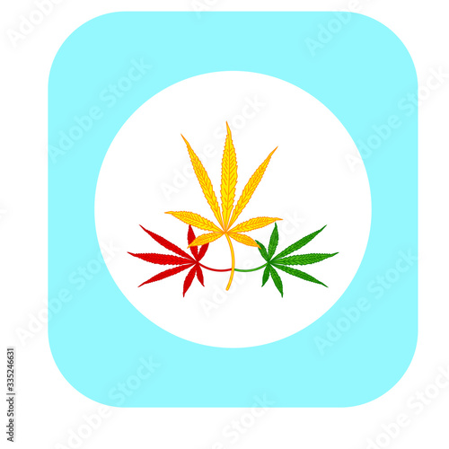 cannabis leaves on white background
