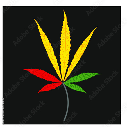 cannabis leaves on white background
