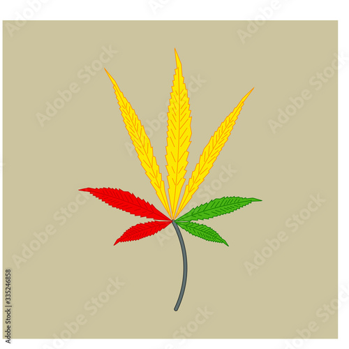 cannabis leaves on white background