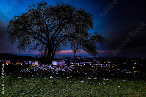 Cracow