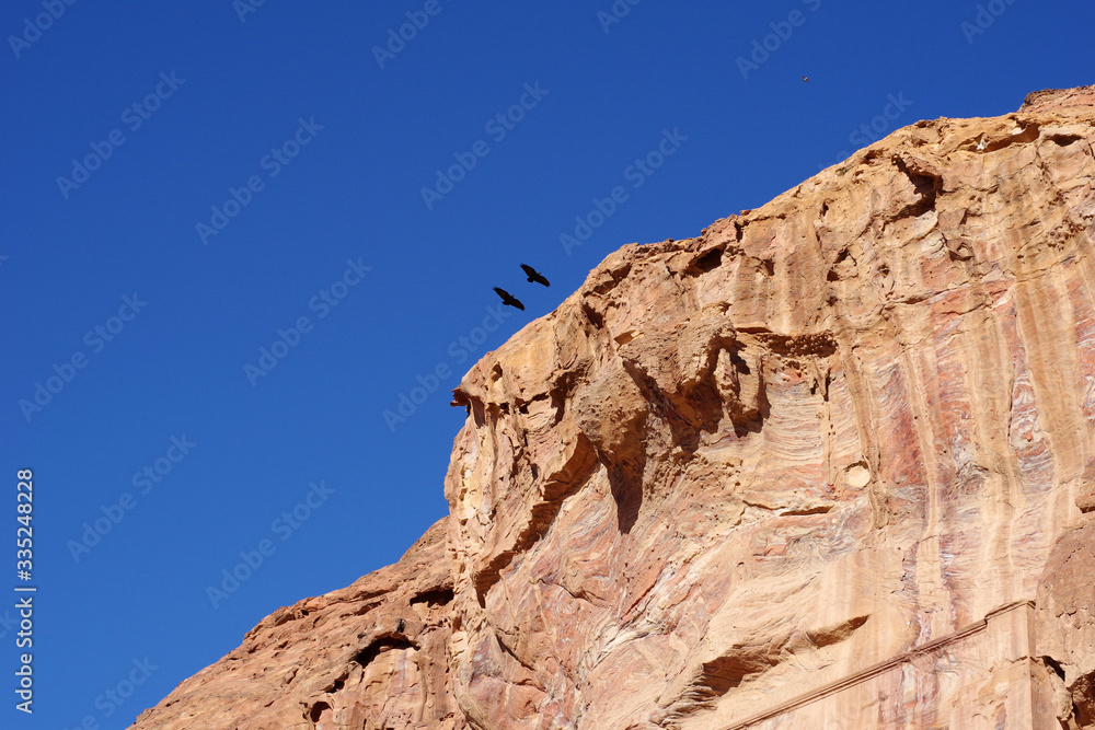 Couple d'oiseau survolant les tombes royales de Pétra, Jordanie