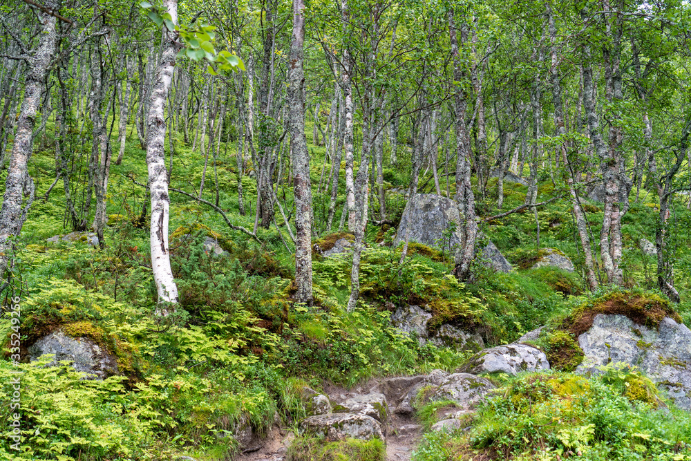 Fototapeta premium Aurland, Norway - augustus 2019