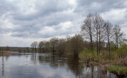 Spring scenery with trees, new foliage, grass, river in flood, reflection in the water and a cloudy sky