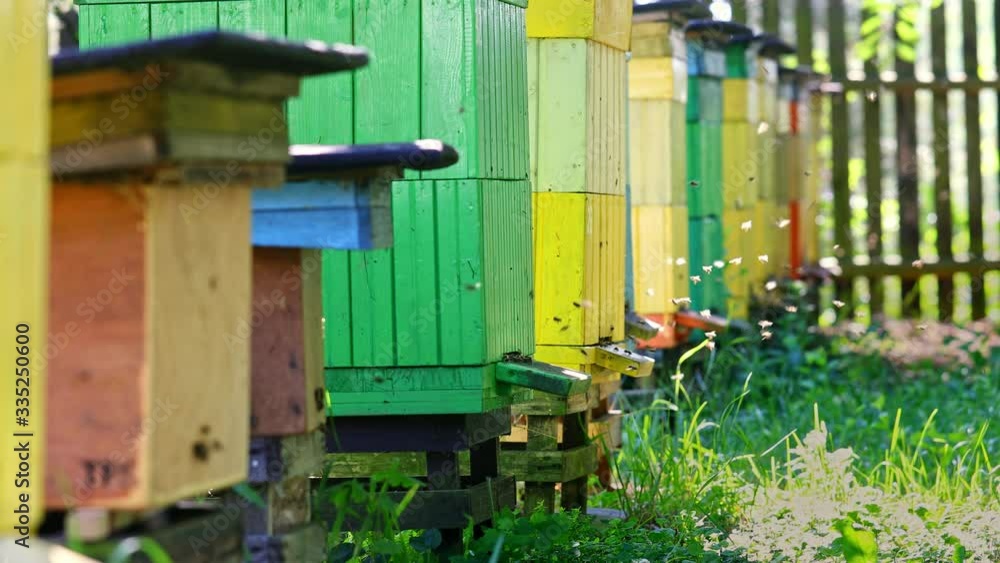 Colorful old beehives in the summer garden, Poland Colorful old beehives in the summer garden, Poland