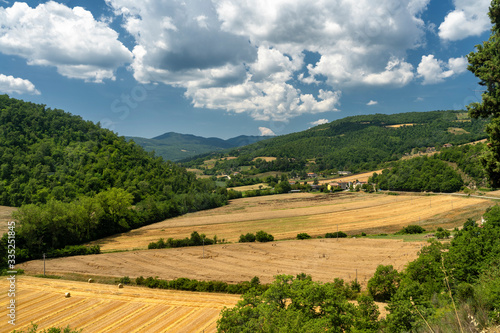 Summer landscape near Monte Santa Maria Tiberina  Umbria  Italy