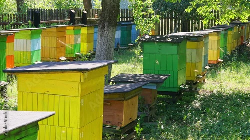 Wooden beehives in sunny garden, Poland, Europe