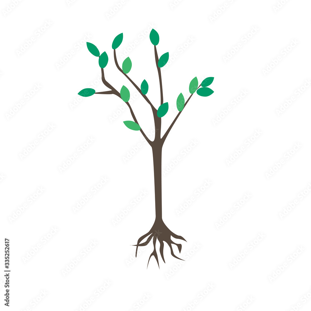 Obraz premium Tree with leaves isolated on a white background for design, flat vector stock illustration as a gardening concept