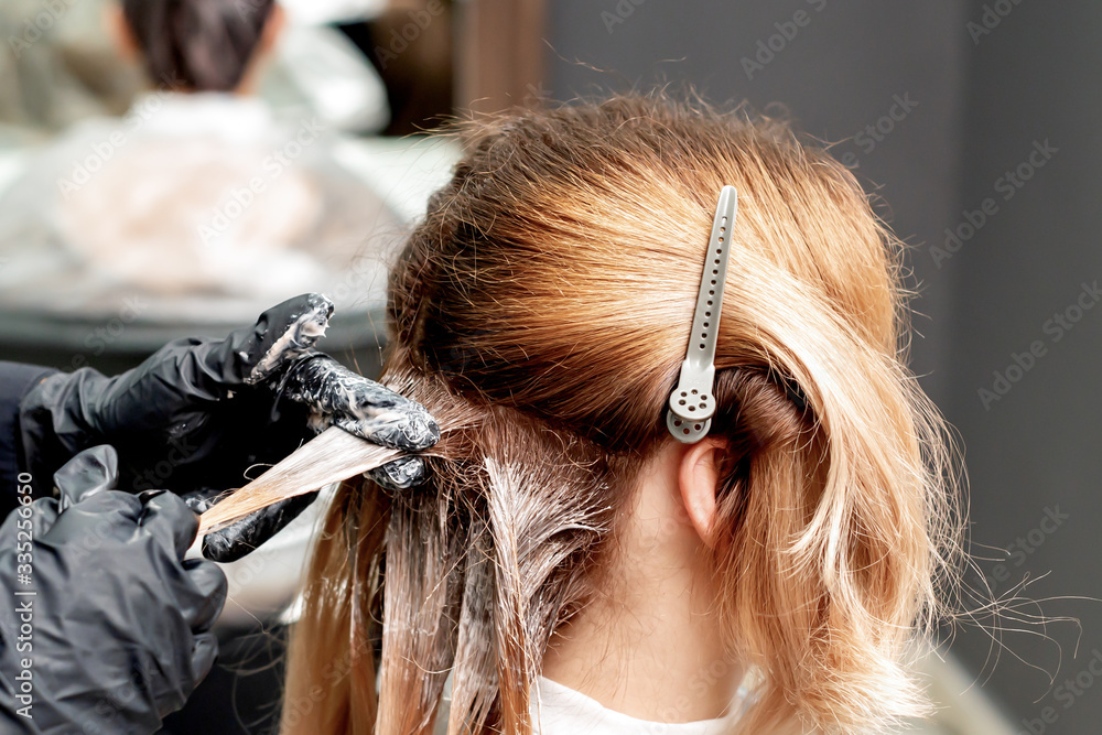 Fototapeta premium Hands of hairdresser in black gloves dyeing hair of woman. Coloring hair.