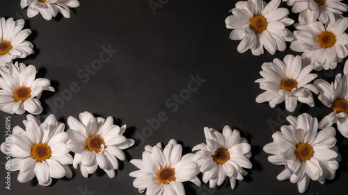 A lot of white buds of small chrysanthemums on a black background © Aleks Gedeiko