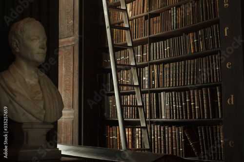 Dark library hall with antique bust and ladder