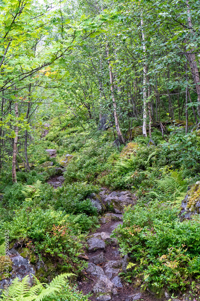 Fjord, Norway - augustus 2019 Fjord, Norway - augustus 2019