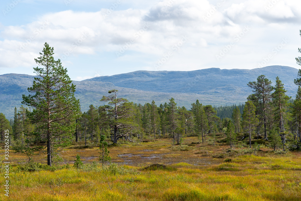 Steinkjer, Norway - augustus 2019