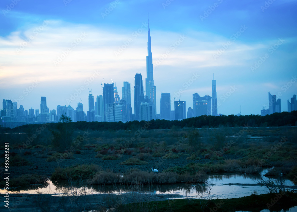 Fototapeta premium Unique view of Dubai city from Las Al Khor Wildlife Sanctuary.