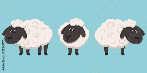 Photo Set of sheeps in different poses. Farm animals in cartoon style.
