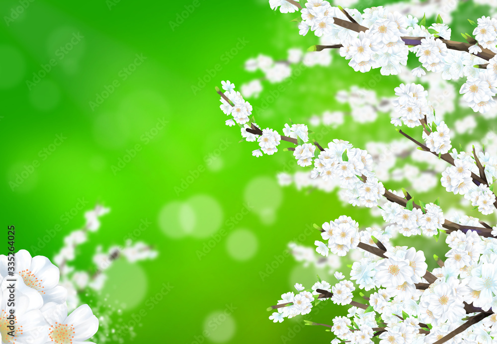 Cherry blossom illustration in full bloom with green and natural colors in the background.