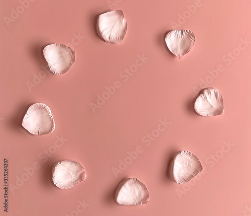 white roses petal on pink background floral template  photo