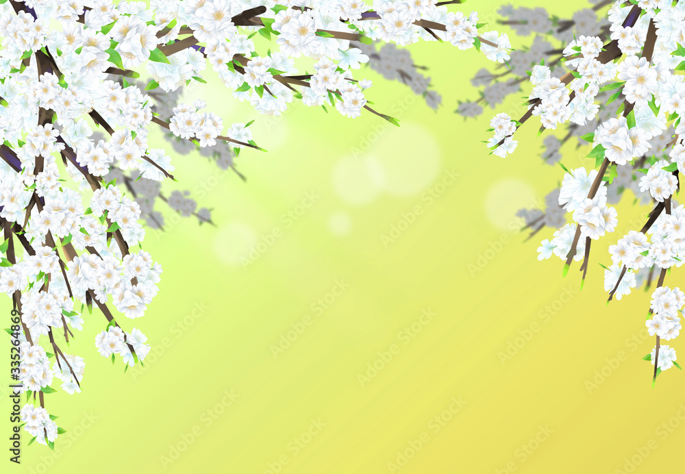 Cherry blossom illustration in full bloom against light green gradient color background.