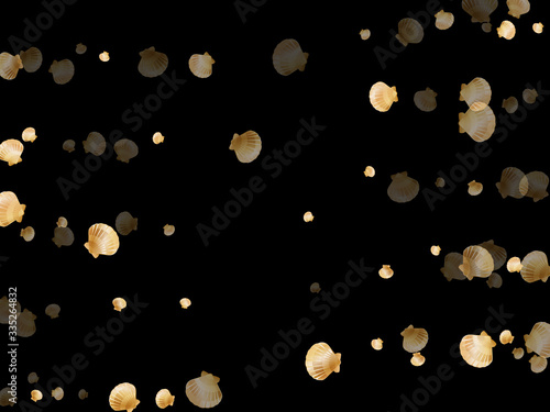 Gold seashells vector, golden pearl bivalved mollusks. 