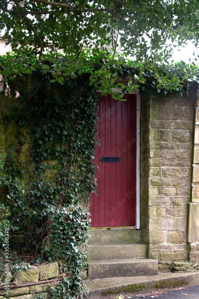 The secret door - a red door surrounded by green plants, UK