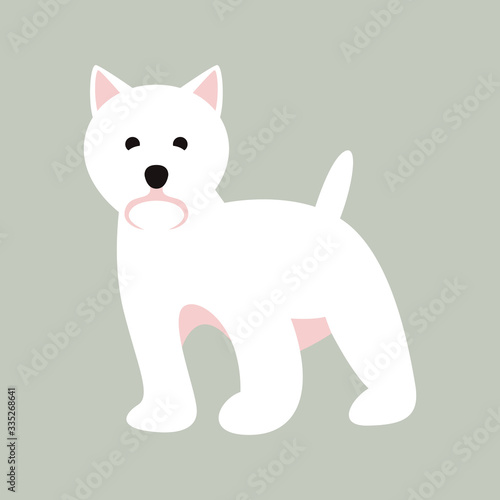 white doggy, vector illustration, flat style, front