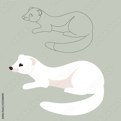  white weasel   vector illustration  flat style