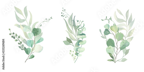 Watercolor green eucalyptus  olive  leaves. Watercolor floral illustration collection  - green leaf branches set for wedding stationary  wallpapers  background   greetings. 