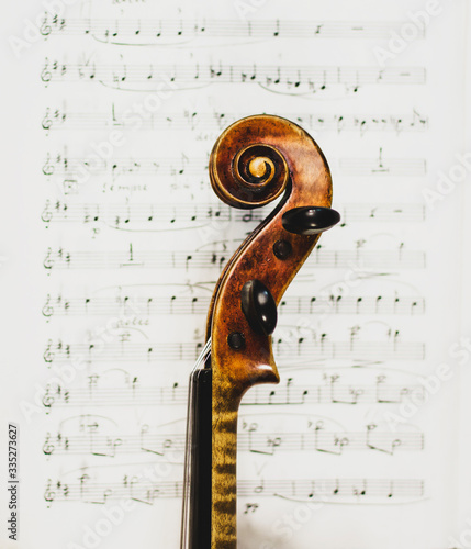 Beautiful violin 