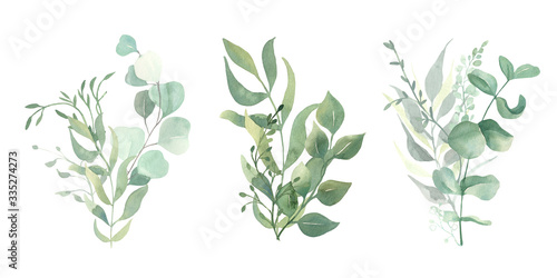 Watercolor green eucalyptus, olive  leaves. Watercolor floral illustration collection  - green leaf branches set for wedding stationary, wallpapers, background,  greetings.  © Olesya Frolova