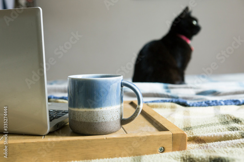 Working from home with pet cat. Laptop and mug on tray on bed with cat in background. Stay at home quarantine social dispatching concept.