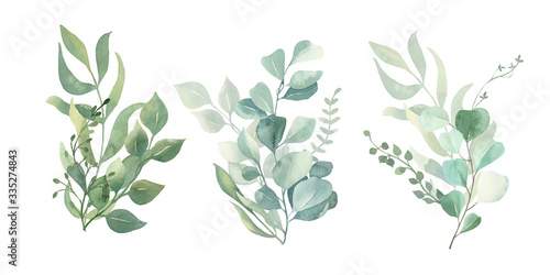 Watercolor green eucalyptus, olive leaves. Watercolor floral illustration collection - green leaf branches set for wedding stationary, wallpapers, background, greetings. 