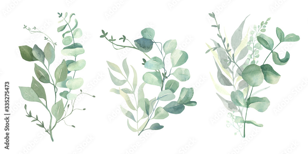 Watercolor green eucalyptus, olive  leaves. Watercolor floral illustration collection  - green leaf branches set for wedding stationary, wallpapers, background,  greetings. 