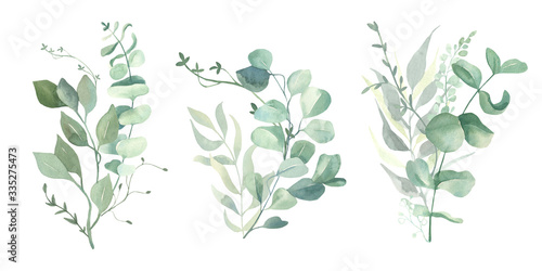 Watercolor green eucalyptus, olive leaves. Watercolor floral illustration collection - green leaf branches set for wedding stationary, wallpapers, background, greetings. 