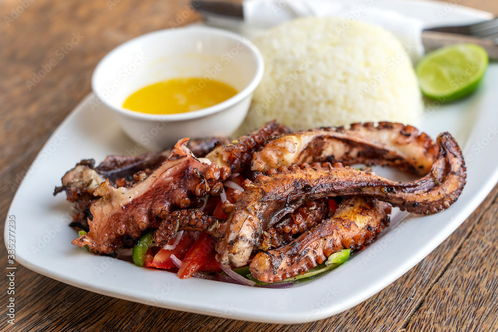 Fried octopus tentacles with white rice on a plate, close up Fried octopus tentacles with white rice on a plate, close up
