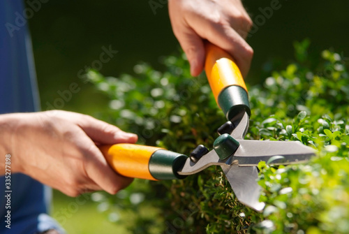 Trimming hedge row