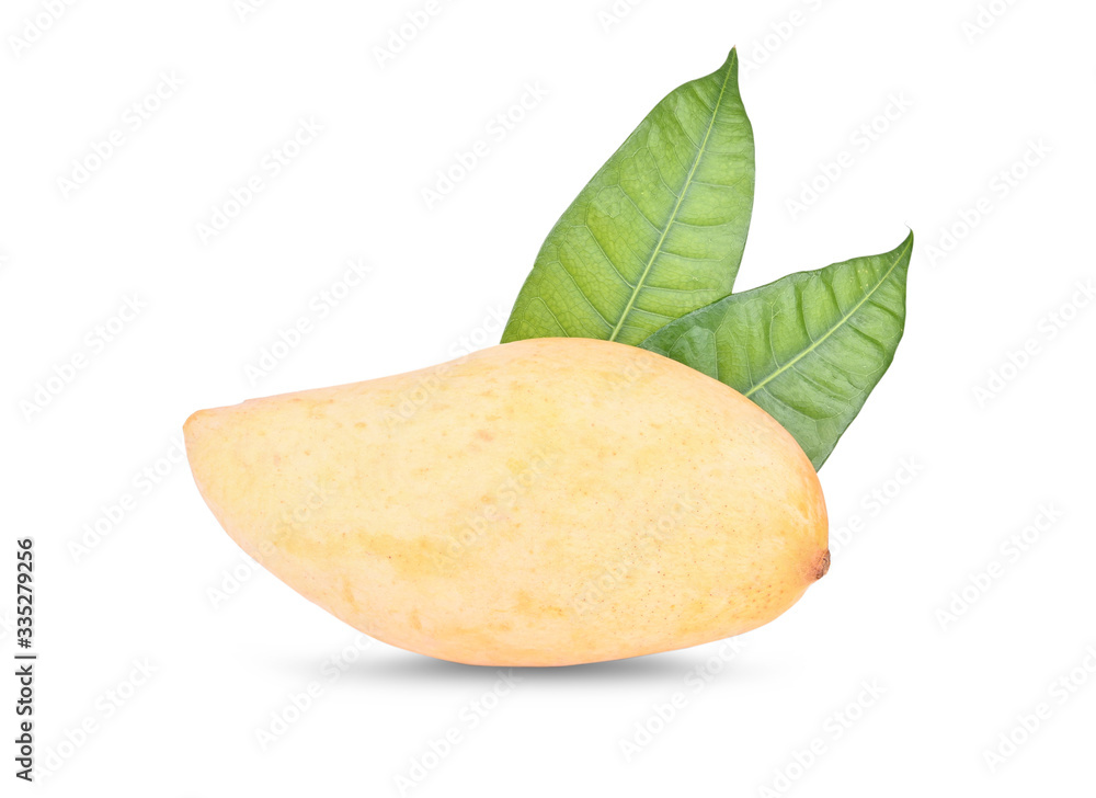 mangoes on a white background( Clipping path) mangoes on a white background( Clipping path)