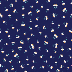 Fototapete Kleine Blumenmuster Gänseblümchen Streumuster auf dunklem Blau  © AZ Studio