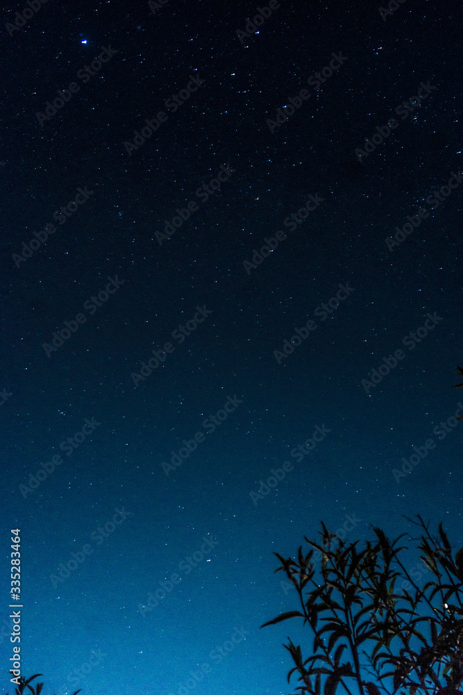 STARS IN THE SKY STARS IN THE SKY