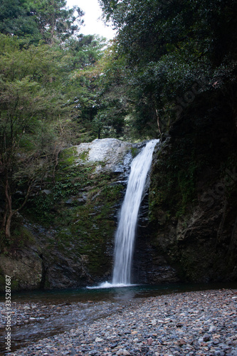 滝のある森林の景色