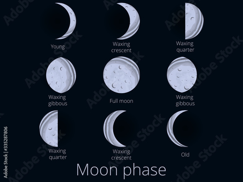 Moon phases. The whole cycle from the new moon to the full. Vector illustration