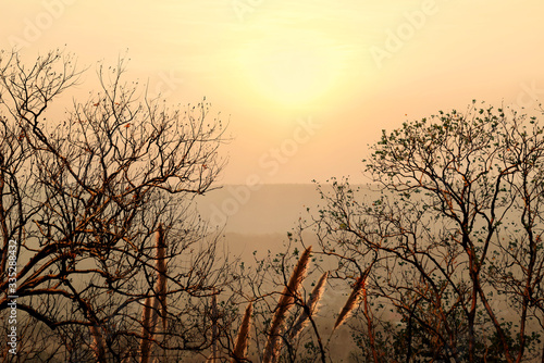 Beautiful sunset with dry trees in autumn for background