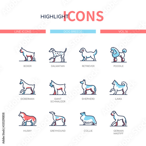 Dog breeds - modern line design style icons set