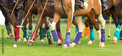 Polo horses run at the game. Big plan. Horses legs wrapped with bandages to protect against hammer kick. Ball took off in front of player. beginning of a game photo