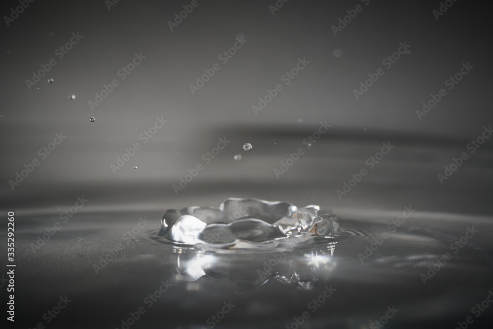 splash of water crown from a drop of water