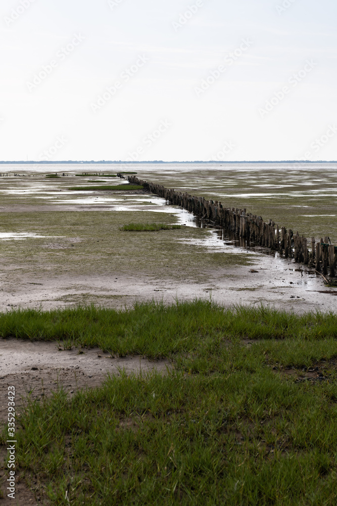 A row of wooden bollards stands in the Wadden Sea at low tide.