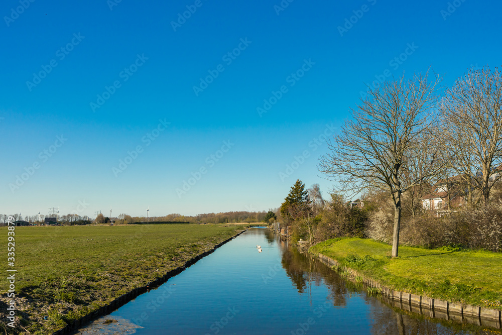 Green field graas, dutch landscape countryside in Netherlands Green field graas, dutch landscape countryside in Netherlands