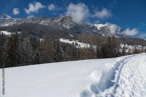 Beautiful Day in the Mountains with Snow-covered Fir Trees and a Snowy Mountain Panorama © GioRez