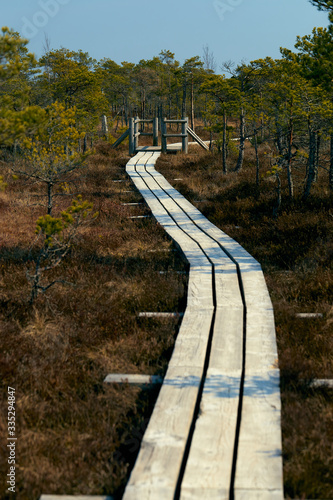 Obraz na plátně eco trail wooden platform among the swamp wagging forward perspectively
