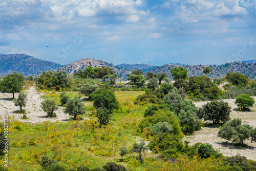 Cyprus landscape with olive grove in front and a background of mountains and blue cloudy sky. A lone bird in the sky