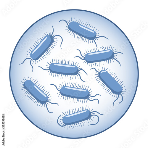 Escherichia coli. Rod-shaped bacteria in a magnifying glass. Microbiology. Vector illustration in flat style isolated over white background